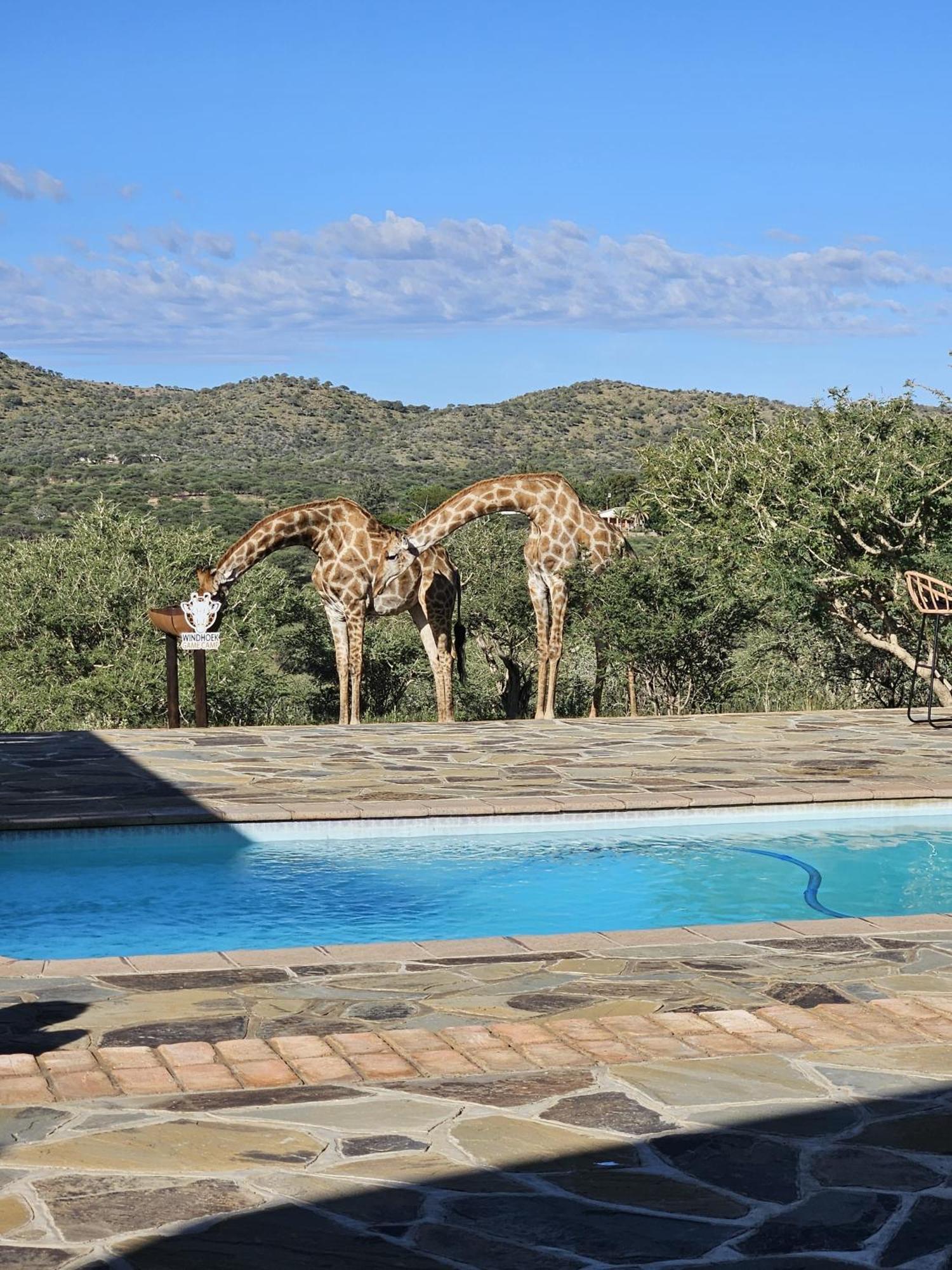 Windhoek Game Camp Lafrenz Township Luaran gambar