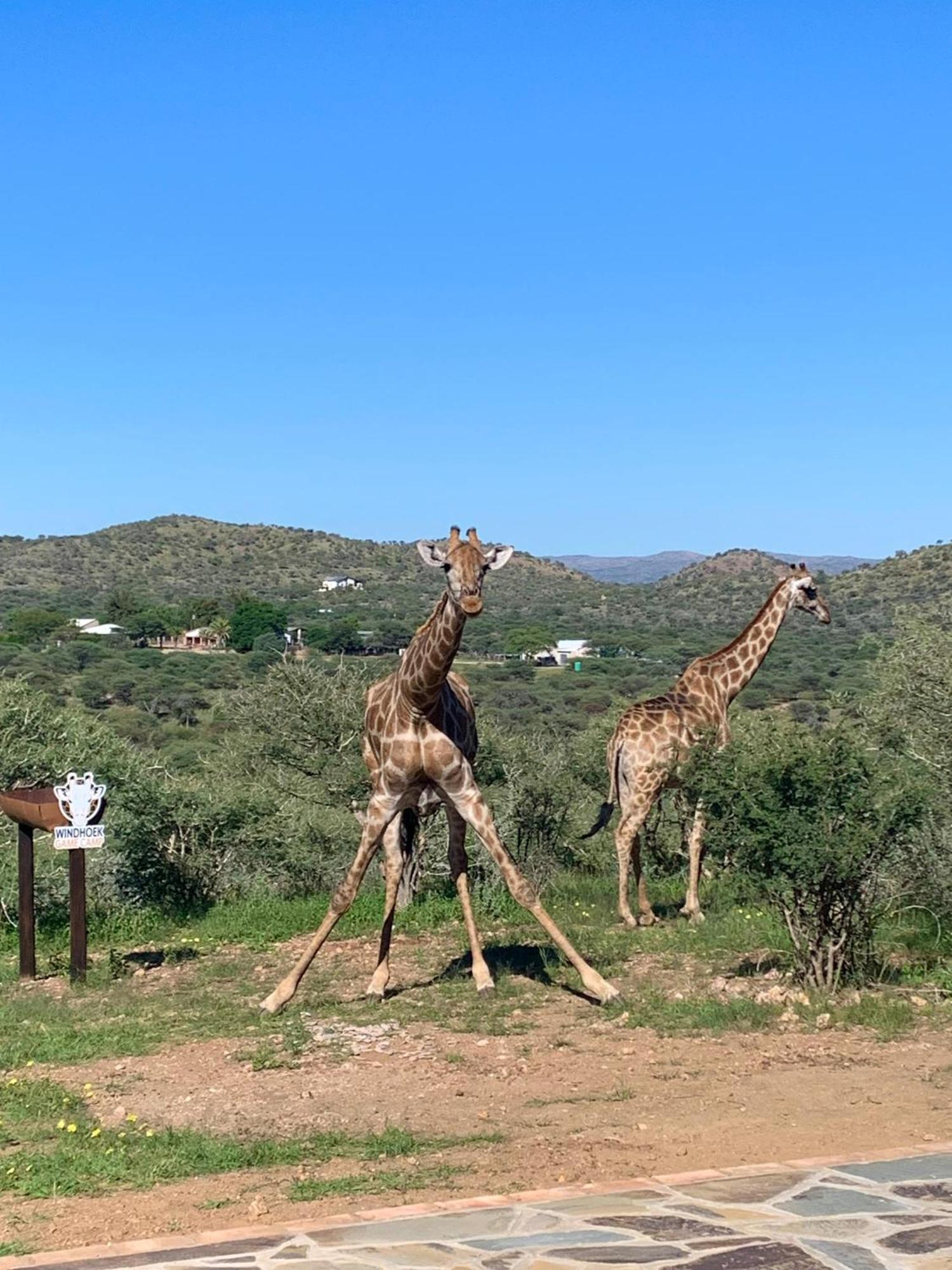 Windhoek Game Camp Lafrenz Township Luaran gambar