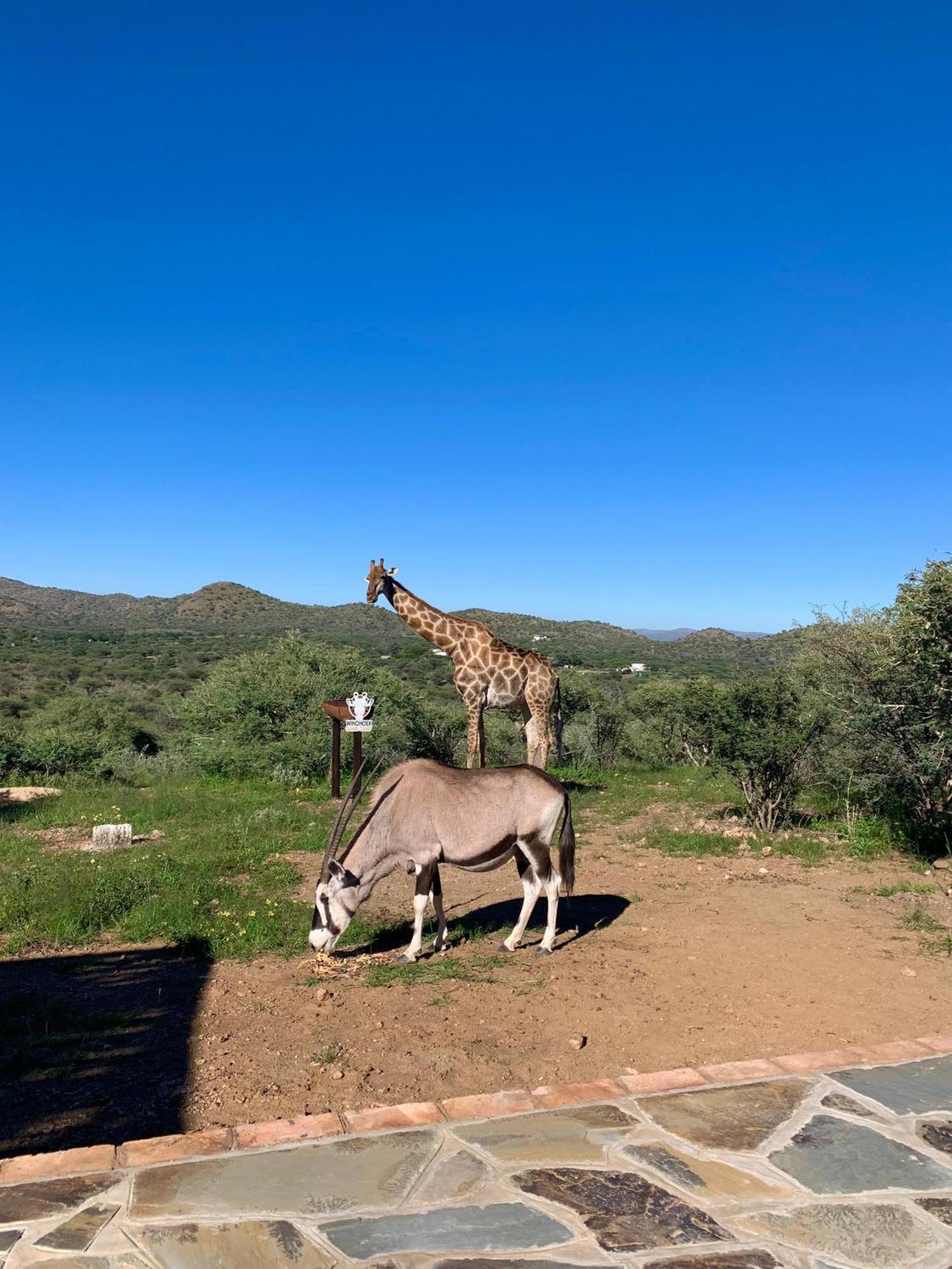 Windhoek Game Camp Lafrenz Township Luaran gambar
